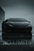NO LIMITS