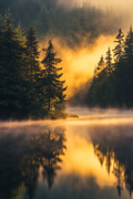Forest Lake