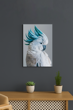 White Cockatoo