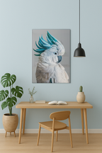 White Cockatoo
