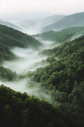 Mountain Valley