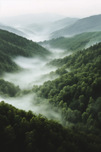 Mountain Valley