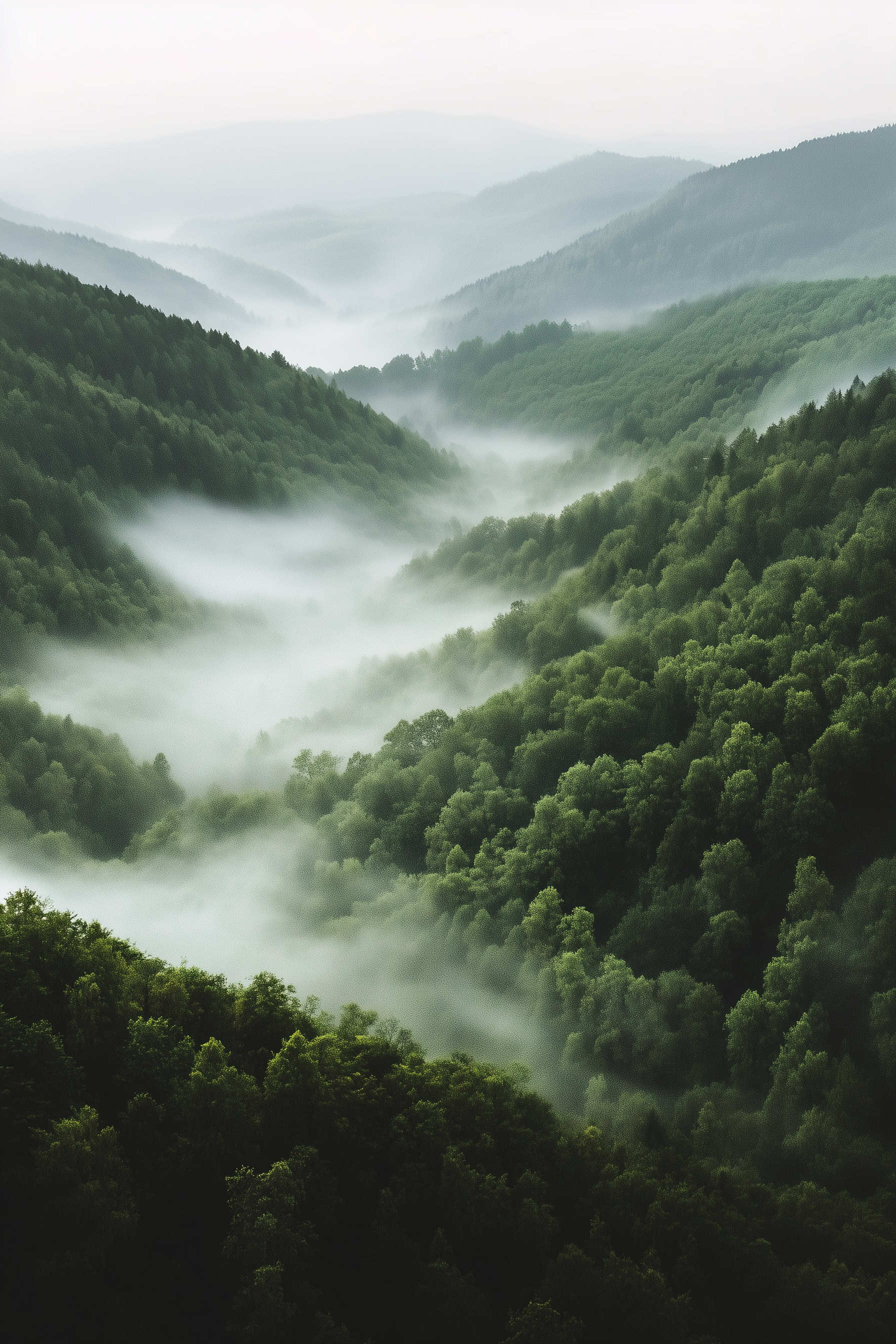 Mountain Valley